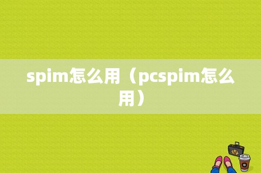 spim怎么用（pcspim怎么用）