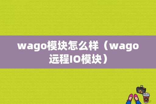wago模块怎么样（wago远程IO模块）