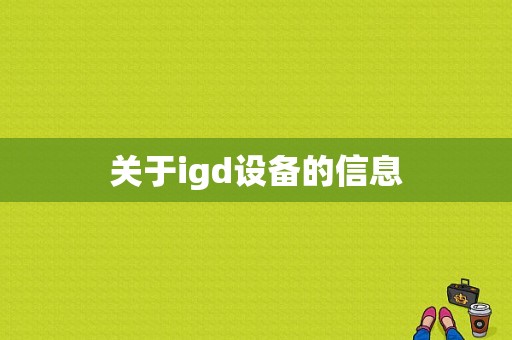 关于igd设备的信息