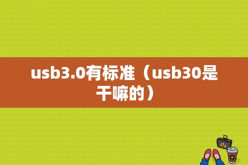 usb3.0有标准（usb30是干嘛的）