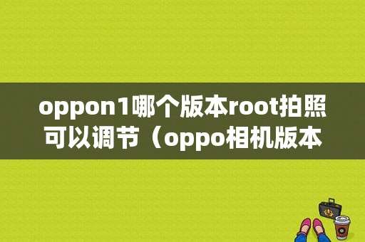 oppon1哪个版本root拍照可以调节（oppo相机版本310）
