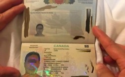 护照r开头是哪个国家（r开头护照号 是哪个国家的）