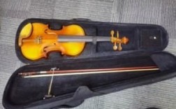 小提琴v01和v02选哪个（小提琴v008是什么意思）