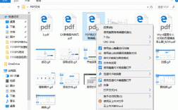 pdf插件在哪个文件夹（pdf 插件）