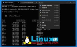查看linux是哪个版本号（如何查看linux版本的型号）
