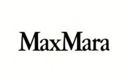maxdea是哪个厂家的（max是啥品牌）
