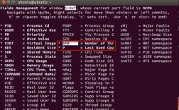 linux查看进程使用哪个cpu（linux进程号是哪个）