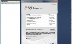 sql2014下载哪个版本（SQL2014下载）
