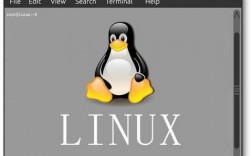 开发用哪个linux（适合开发者的linux）