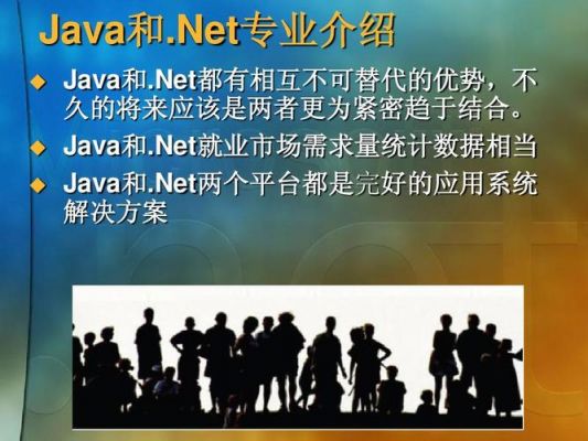 .net和java哪个工资高（net和java哪个好学）