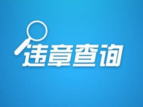 包含哪个官方违章查询软件下载的词条-图2 包含哪个官方违章查询软件下载的词条-图2