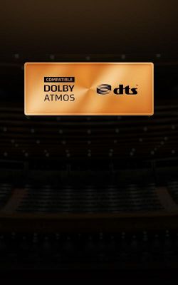 dts杜比5.1哪个好(杜比和dts谁更好)-图3 dts杜比5.1哪个好(杜比和dts谁更好)-图3
