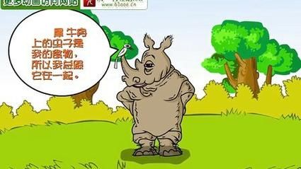 犀牛是哪个动画片(动画片犀牛和犀牛鸟)-图3 犀牛是哪个动画片(动画片犀牛和犀牛鸟)-图3