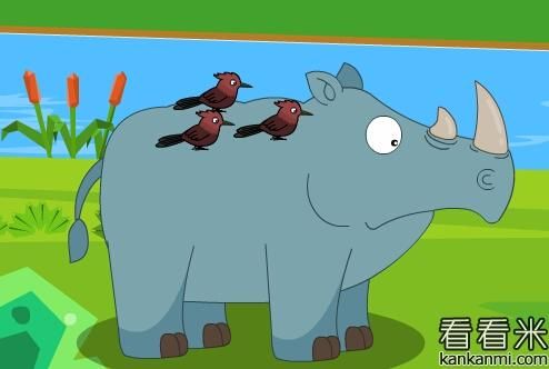 犀牛是哪个动画片（动画片犀牛和犀牛鸟）