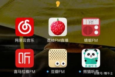 喜马拉雅和荔枝fm哪个好(喜马拉雅和荔枝fm哪个好一点)-图3 喜马拉雅和荔枝fm哪个好(喜马拉雅和荔枝fm哪个好一点)-图3