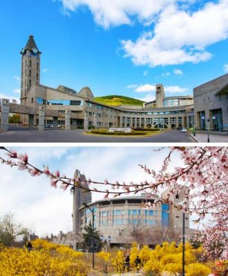 大连华信和东软待遇哪个更好(大连东软集团和大连东软信息学院)-图2 大连华信和东软待遇哪个更好(大连东软集团和大连东软信息学院)-图2