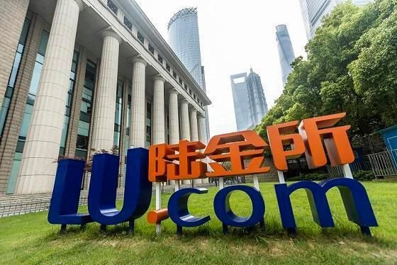 陆金所哪个项目赚钱(陆金所做什么)-图3 陆金所哪个项目赚钱(陆金所做什么)-图3