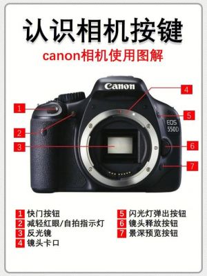 单反录像按钮键是哪个(单反相机录像按钮是哪个)-图1 单反录像按钮键是哪个(单反相机录像按钮是哪个)-图1