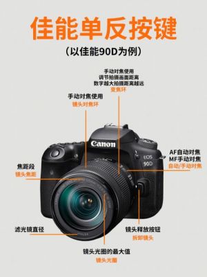 单反录像按钮键是哪个(单反相机录像按钮是哪个)-图2 单反录像按钮键是哪个(单反相机录像按钮是哪个)-图2
