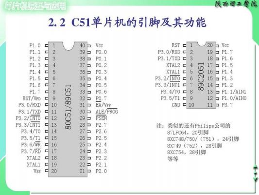 51单片机从哪个引脚写入程序（51单片机各个引脚作用）