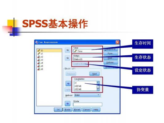 spss启动文件是哪个好(spss安装完启动文件是哪个)-图3 spss启动文件是哪个好(spss安装完启动文件是哪个)-图3