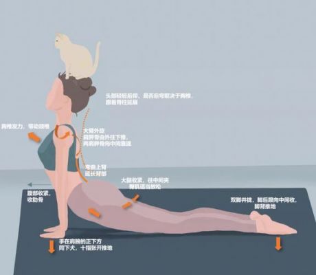 哪个播放器可以下载瑜伽节目(瑜伽视频app哪个好用)-图3 哪个播放器可以下载瑜伽节目(瑜伽视频app哪个好用)-图3