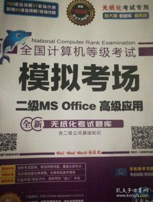 国家计算机二级学哪个好（国家二级计算机哪个好考）