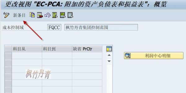 sap利润中心组存在哪个表(sap利润中心对应几个公司代码)-图2 sap利润中心组存在哪个表(sap利润中心对应几个公司代码)-图2