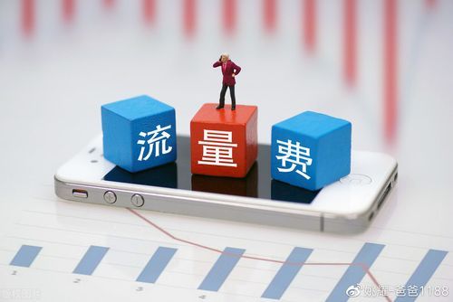 提升流量的平台哪个好(提升流量的平台哪个好用)-图2 提升流量的平台哪个好(提升流量的平台哪个好用)-图2