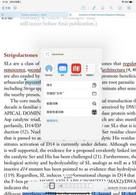 ipad看pdf软件哪个好(ipad上看pdf软件哪个好)-图3 ipad看pdf软件哪个好(ipad上看pdf软件哪个好)-图3