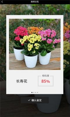 拍照识花软件哪个好(下载拍照识花)-图1 拍照识花软件哪个好(下载拍照识花)-图1