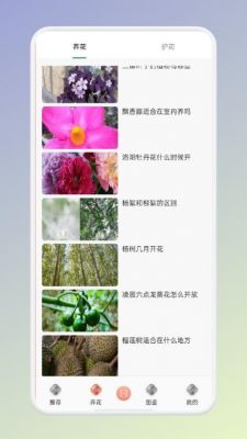 拍照识花软件哪个好(下载拍照识花)-图3 拍照识花软件哪个好(下载拍照识花)-图3