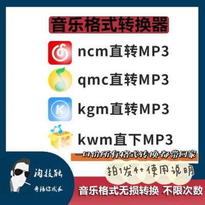 哪个软件有mp3转换器（可以转换mp3的软件）-图1