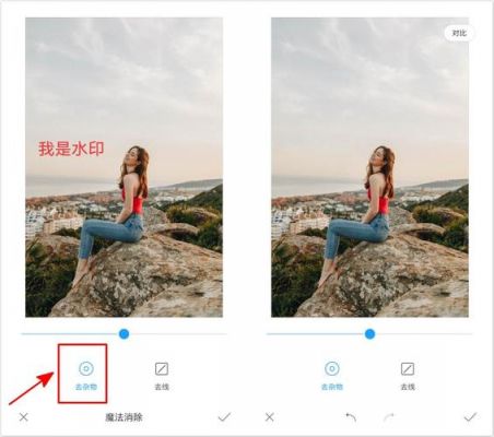 照片在线去水印软件哪个好（照片去水印在线使用）-图3