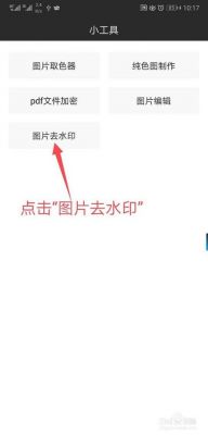 照片在线去水印软件哪个好(照片去水印在线使用)-图2 照片在线去水印软件哪个好(照片去水印在线使用)-图2