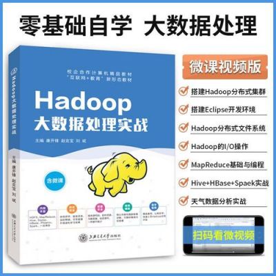 自学hadoop哪个版本好（hadoop自学难吗）-图1