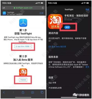 IOS6.1.3可以下载淘宝哪个版本（ios怎么下载淘宝旧版本）-图1