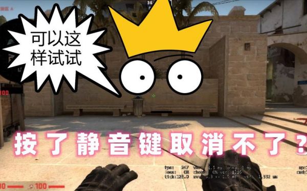 静音键是哪个（csgo静音键是哪个）-图1