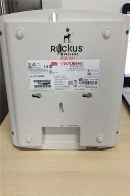 ruckusAP哪个型号（ruckus是什么牌子）-图3