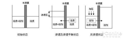 渗透和逆向哪个待遇高（渗透测试和逆向工程）-图1