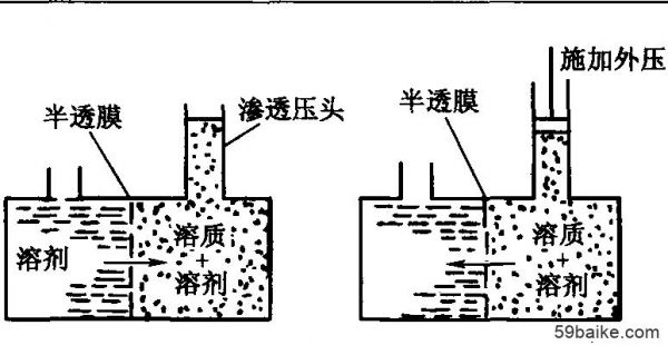 渗透和逆向哪个待遇高(渗透测试和逆向工程)-图3 渗透和逆向哪个待遇高(渗透测试和逆向工程)-图3