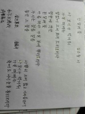 朝鲜语和韩语哪个好（朝鲜语和韩语哪个好听）-图3