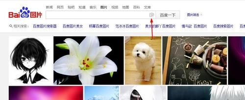 找图片是哪个软件(找图片是哪个软件好用)-图2 找图片是哪个软件(找图片是哪个软件好用)-图2