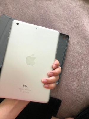 ipadmini2和ipadair哪个重（ipadmini2和ipadair2哪个好）-图2