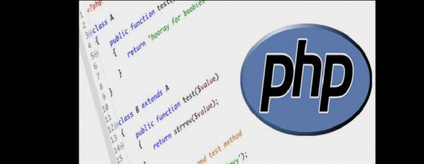 php编程用哪个软件好（php最好的编程语言）