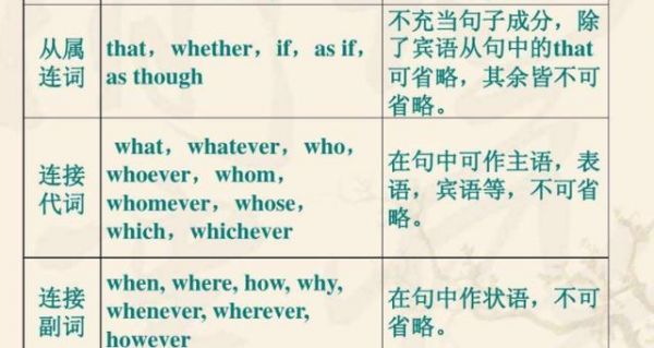 which哪个先满水12(which后面是从句还是主句)-图1 which哪个先满水12(which后面是从句还是主句)-图1