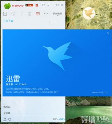 手机迅雷和电脑迅雷哪个下载快(电脑迅雷和手机迅雷区别)-图2 手机迅雷和电脑迅雷哪个下载快(电脑迅雷和手机迅雷区别)-图2