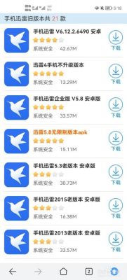 手机迅雷和电脑迅雷哪个下载快(电脑迅雷和手机迅雷区别)-图1 手机迅雷和电脑迅雷哪个下载快(电脑迅雷和手机迅雷区别)-图1