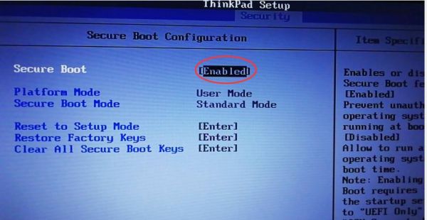 thinkpad哪个键进bios(thinkpad电脑进入bios按什么键)-图3 thinkpad哪个键进bios(thinkpad电脑进入bios按什么键)-图3