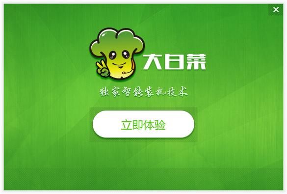 大白菜下载哪个版本(大白菜装哪个版本)-图3 大白菜下载哪个版本(大白菜装哪个版本)-图3